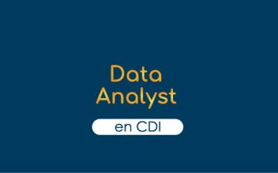 Data Analyst – CDI